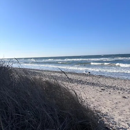 Nyaraló Strandkorb 115